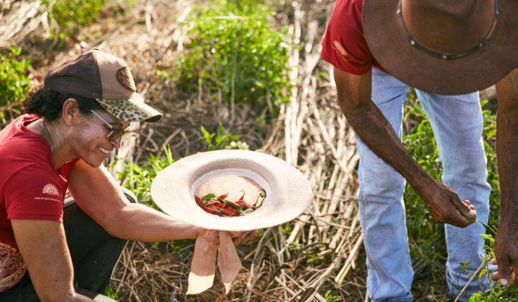 smallholder-brazil02.jpg