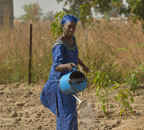 Donner aux femmes l’accès à l’agriculture commerciale