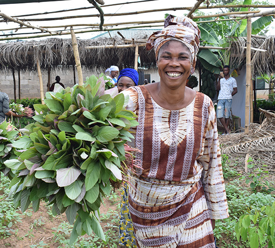 Village enterprises and organic farming toward food security