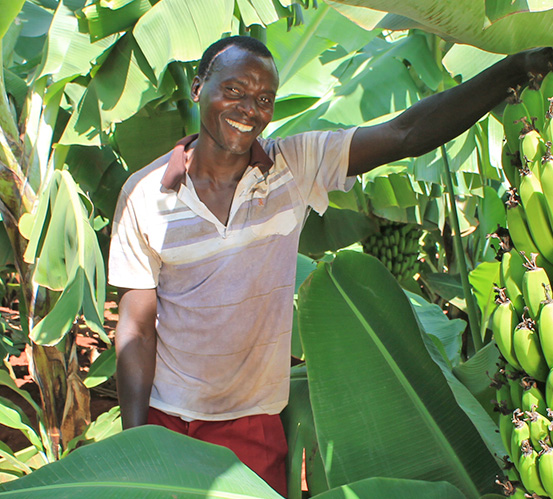 Promoção da biodiversidade através da agricultura sustentável