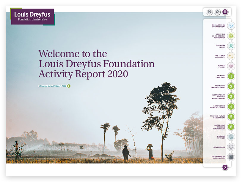 ldf reports 2020