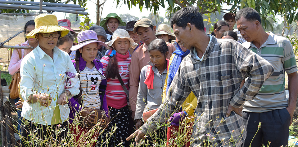 Agro-ecology for sustainable livelihoods