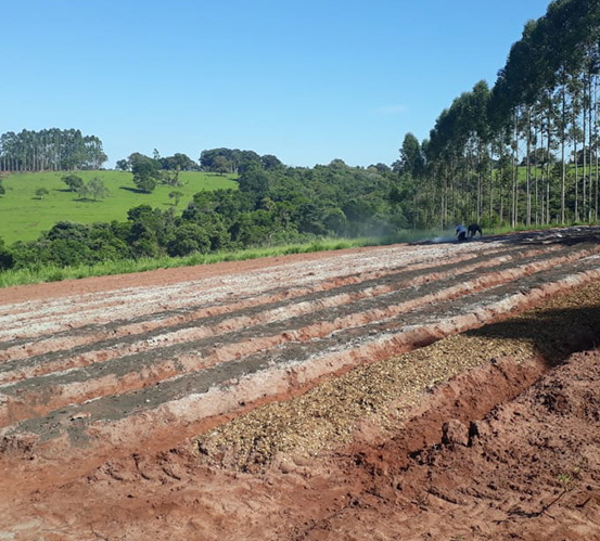 Melhorando a produtividade através de sistemas agroflorestais em Itatinga, estado de São Paulo