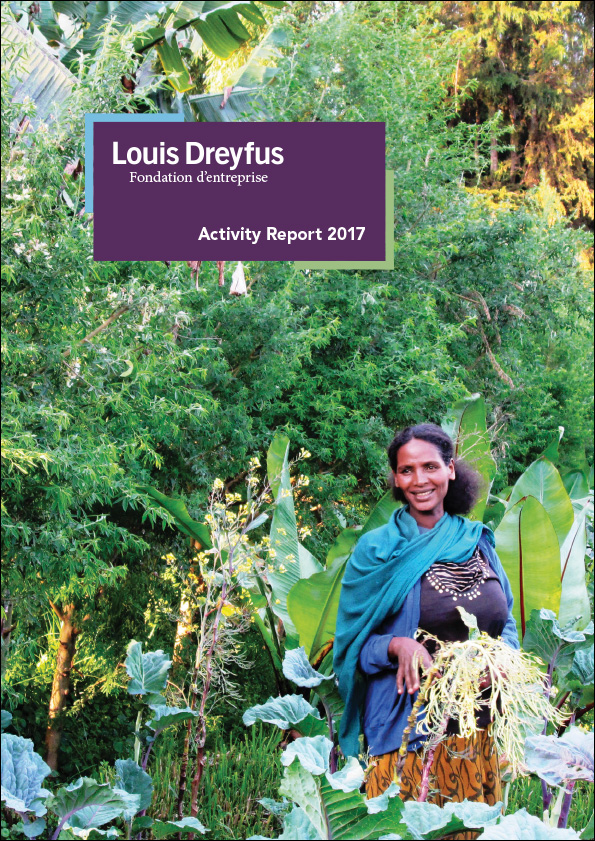 ldf-reports-2017.jpg