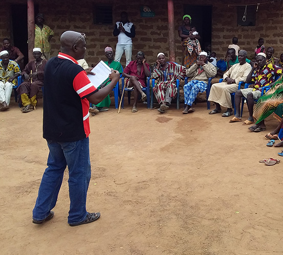 Améliorer les performances de la filière riz dans le nord de la Côte d'Ivoire